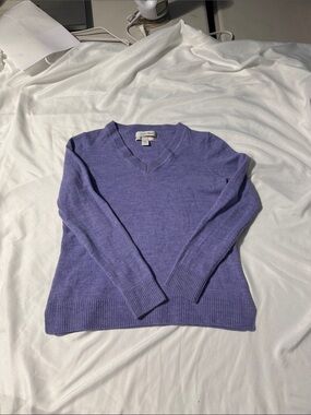 Ellen Tracy 100% Extra Fine Merino Wool Sweater Women’s M Purple V-Neck Knit